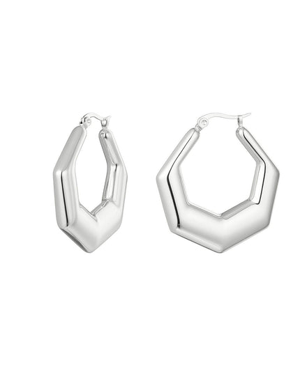 oorbellen stainless steel zeshoek 