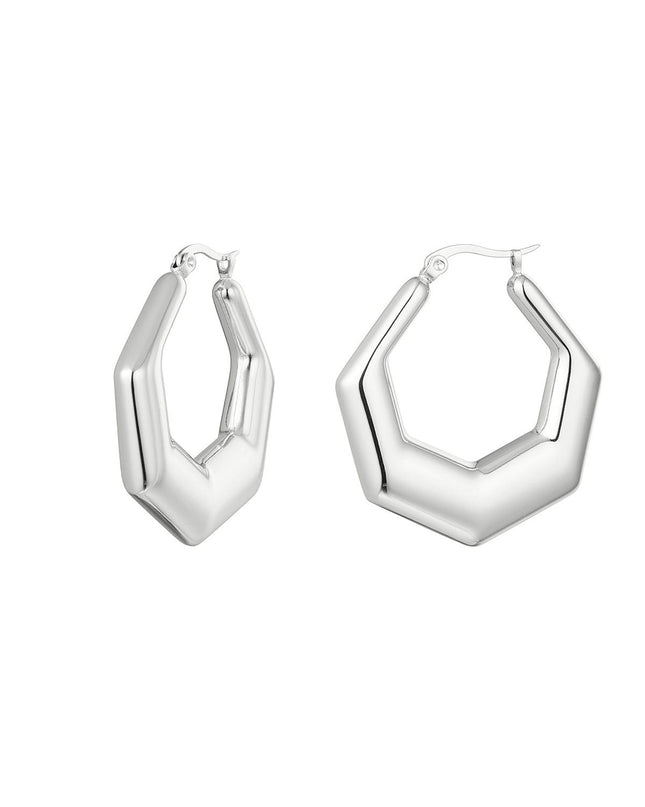 oorbellen stainless steel zeshoek 