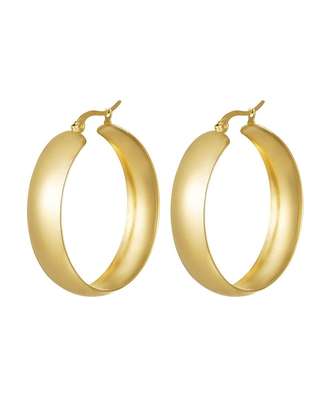 oorbellen stainless steel chique