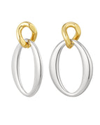 Goud- en zilverkleur