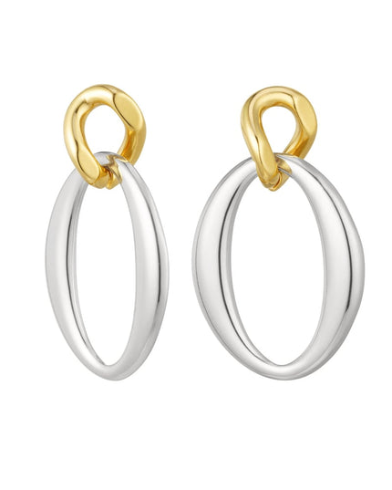 Oorbellen gedraaide hanger - zilver/Goud kleur