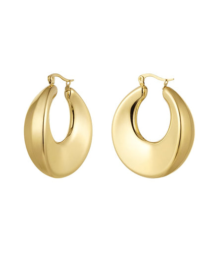 oorbellen shiny rond