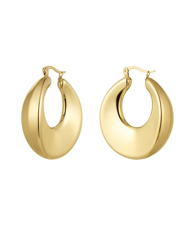 oorbellen shiny rond