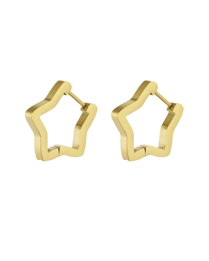 basic ster oorbellen groot