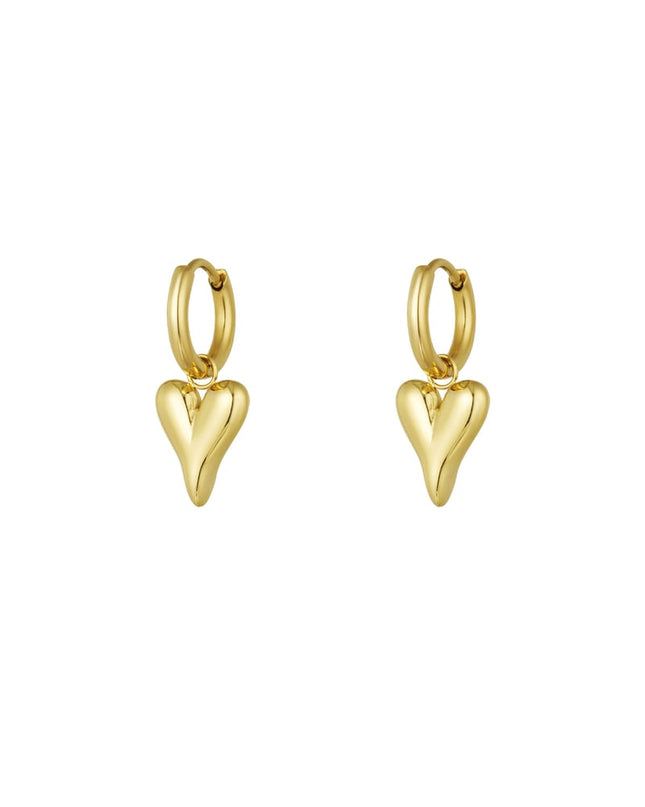 roestvrij stalen hartvormige oorbellen