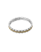 Goud- en zilverkleur