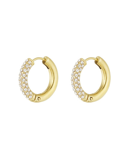 Shiny Rings oorbellen