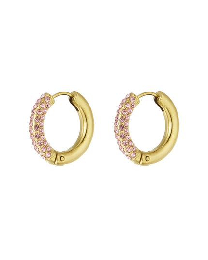 Shiny Rings oorbellen