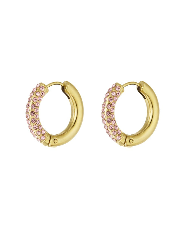 Shiny Rings oorbellen