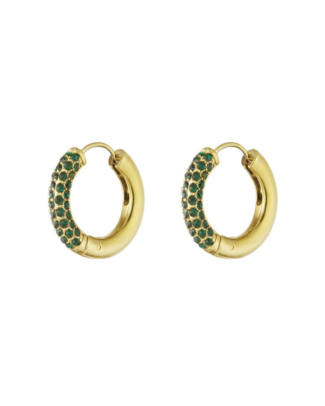 Shiny Rings oorbellen