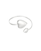 zilveren kleur / Eén maat