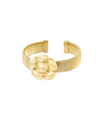 Goudkleur / Eén maat