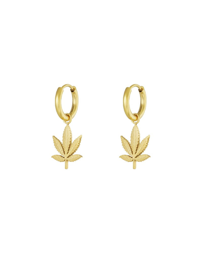 canna bliss oorbellen