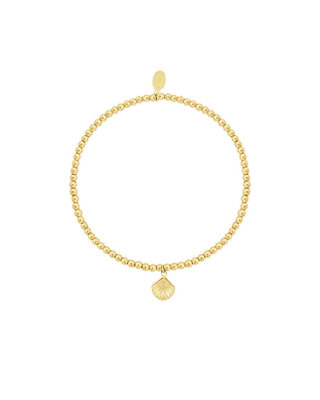 simpele armband kleine schelp