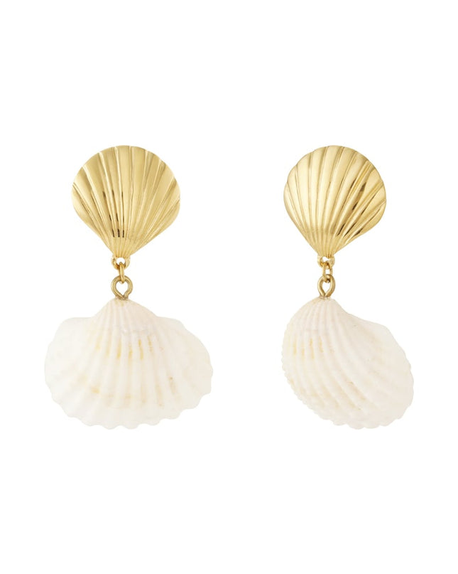 Schelp en zee oorbel