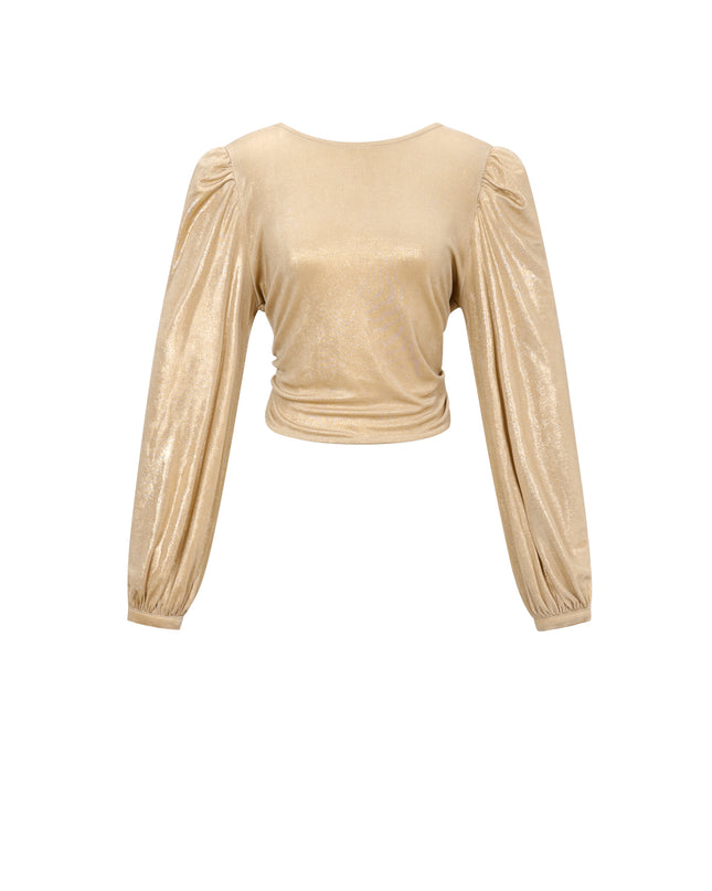 Polyestervezel (polyester) Tops met lange mouwen Effen kleur Sexy herfst/winterkleding