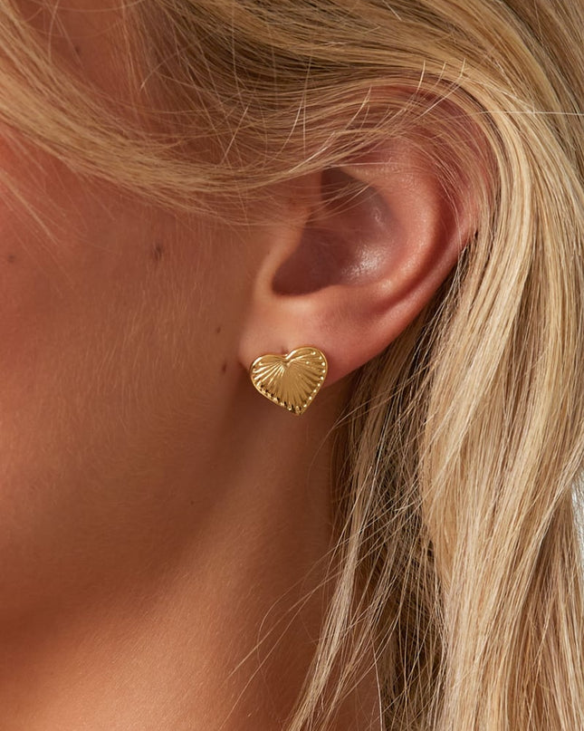 Oorbellen van roestvrij staal met hartjes, Daily Daily Simple Series, damessieraden