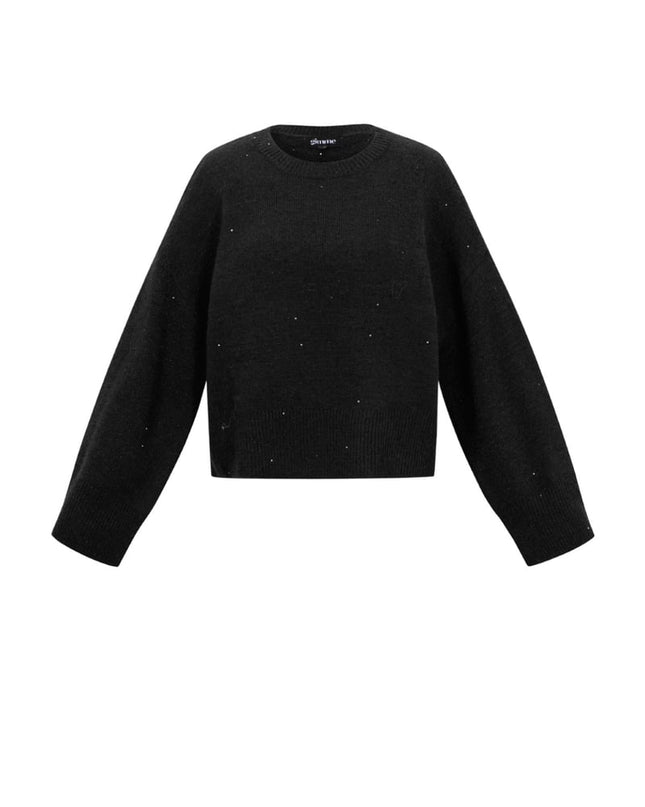 Sparkling Knit sweater