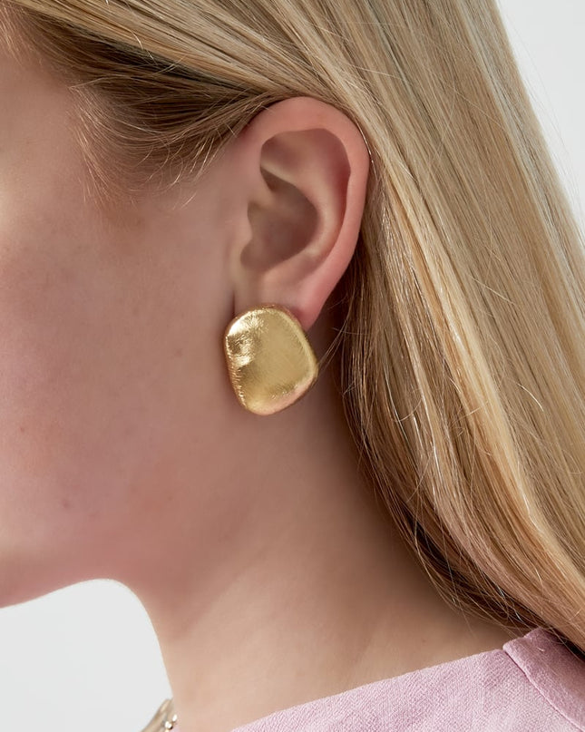 Luxe stenen oorbellen