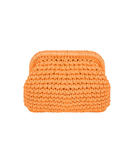 The Colorful Clutch tas