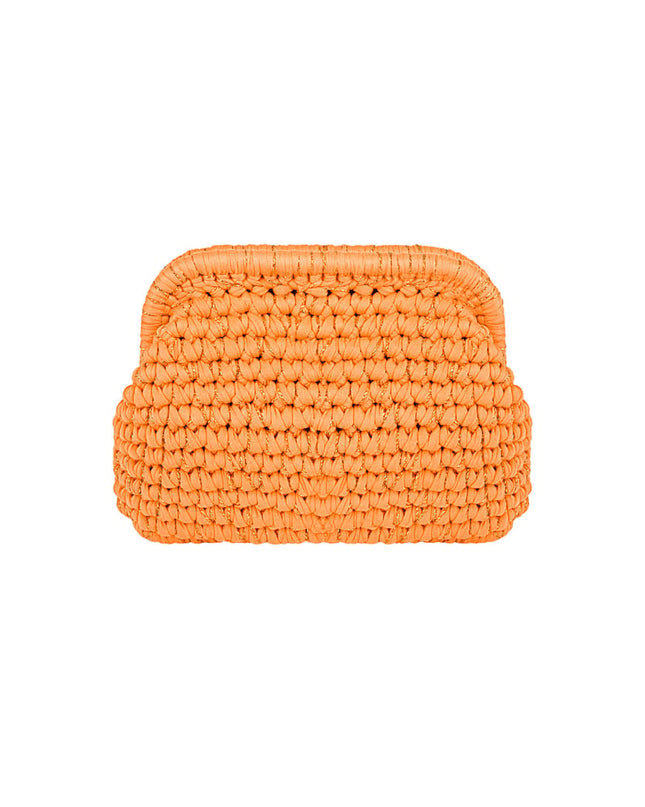 The Colorful Clutch tas