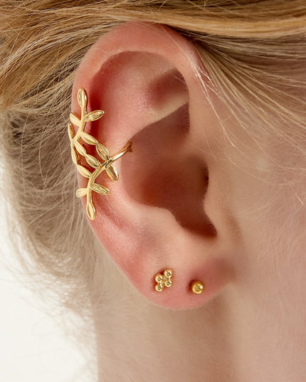 Ear cuff plant