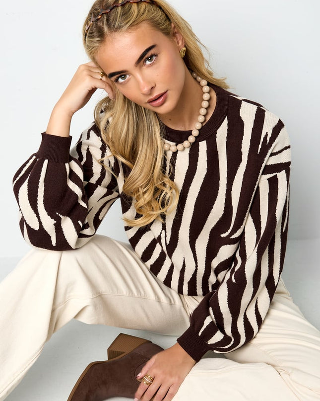 Gebreide truien Zebrastrepen Casual herfst/winterkleding