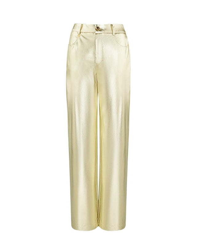 Metallic trousers - Silver Color color