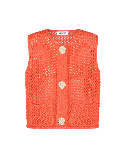 Playful vest