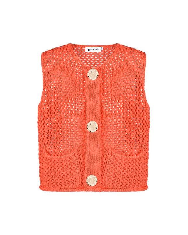 Playful vest