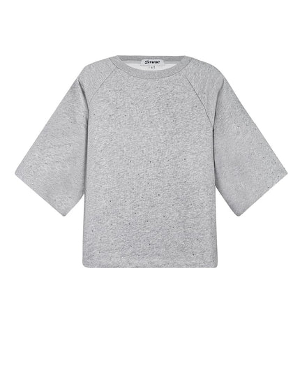 Top glitters in the sky - Gray