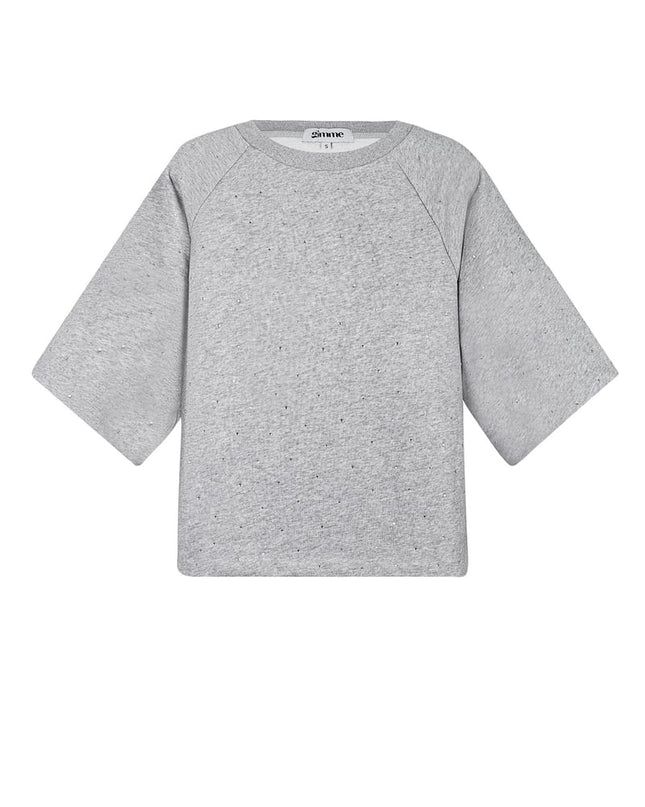 Top glitters in the sky - Gray