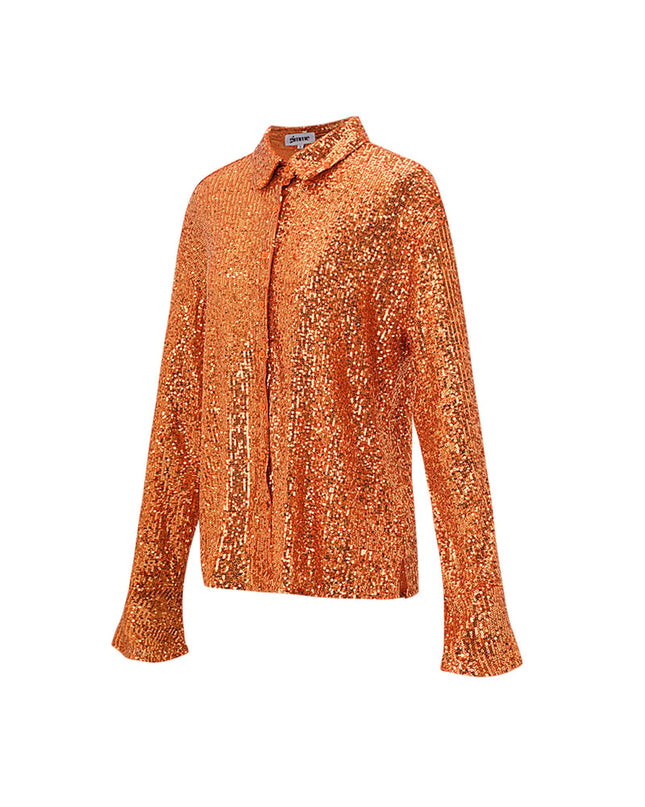 Glitter Long sleeve Blouse