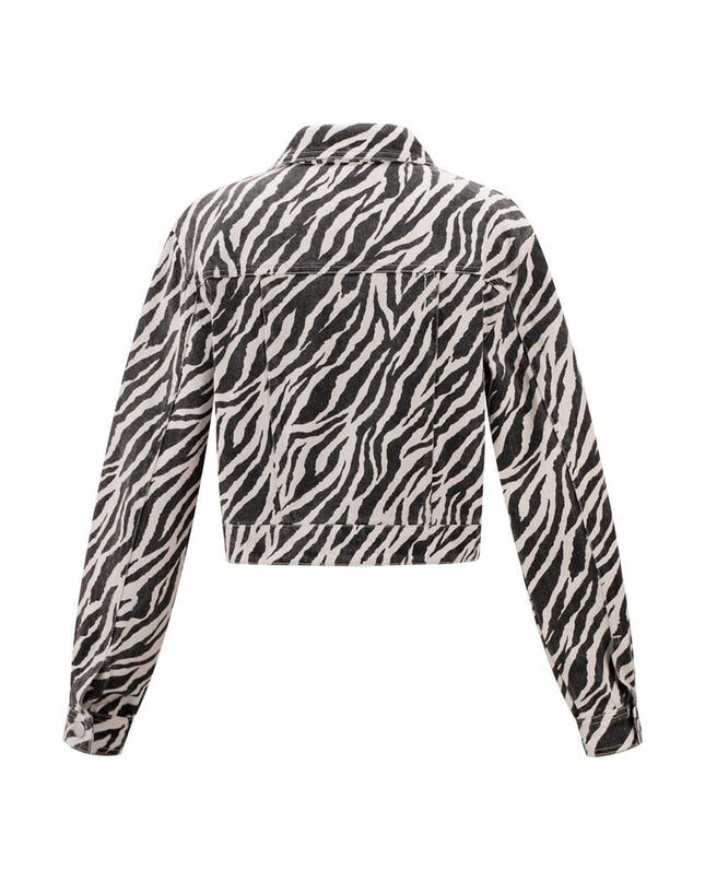 The Zebra Jacket
