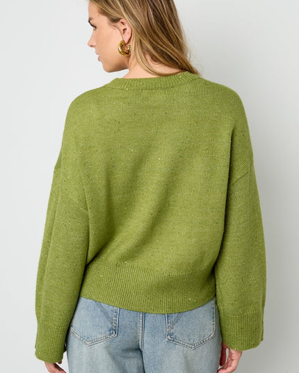 Sparkling Knit sweater