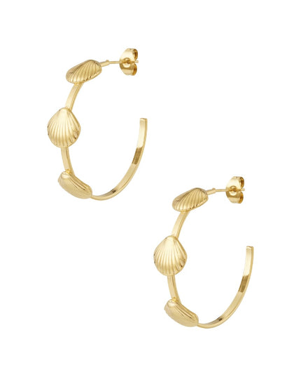 Schelp hoepel oorbellen