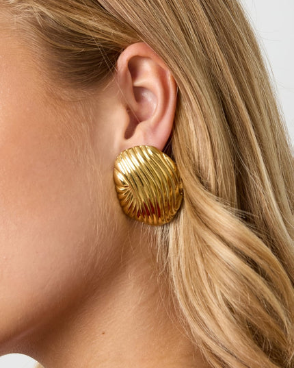 Stainless Steel Stud Earrings irregular shape Casual Daily Simple Series Women's jewelry