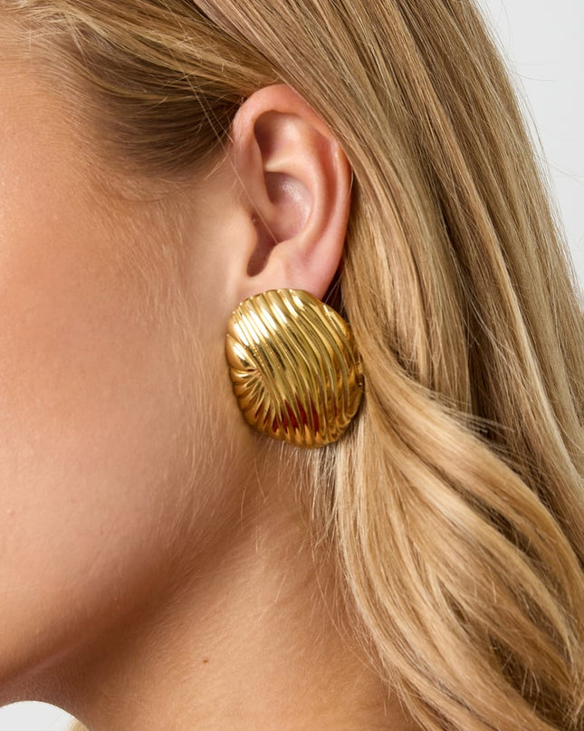 Stainless Steel Stud Earrings irregular shape Casual Daily Simple Series Women's jewelry