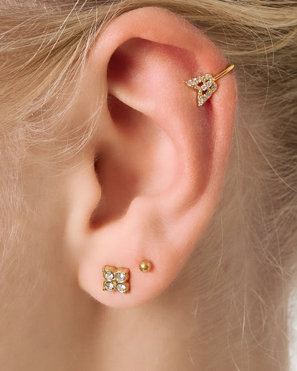 neusmanchet en oormanchet