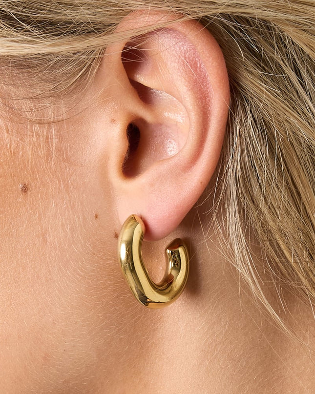 Stainless Steel Hoop Earrings irregular shape Casual Daily Simple Series Women's jewelry