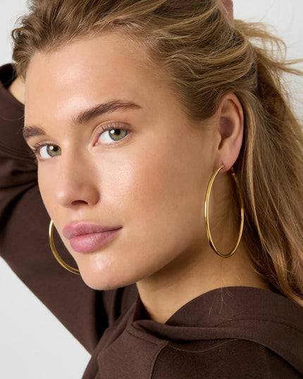 Stainless Steel Hoop Earrings Geometric Casual Daily Simple Series Women's jewelry
