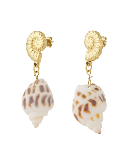 Seashell Elegance Oorbellen