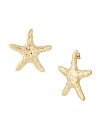 Grote zeester oorbellen