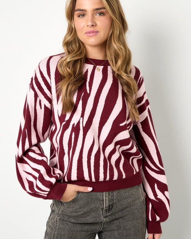 Gebreide truien Zebrastrepen Casual herfst/winterkleding