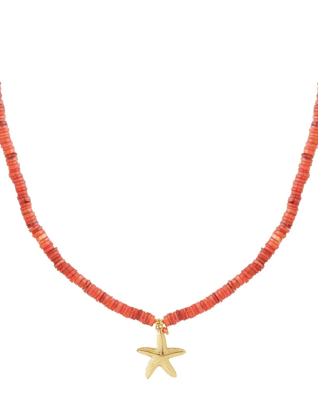 Grote zeester ketting