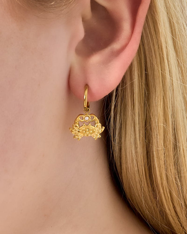   Oorbellen met dierenprint, casual, dagelijks, eenvoudig, serie, damessieraden