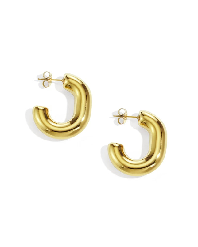 Stainless Steel Hoop Earrings irregular shape Casual Daily Simple Series Women's jewelry