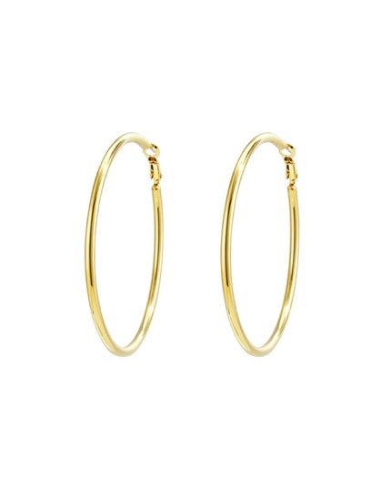 Stainless Steel Hoop Earrings Geometric Casual Daily Simple Series Women's jewelry