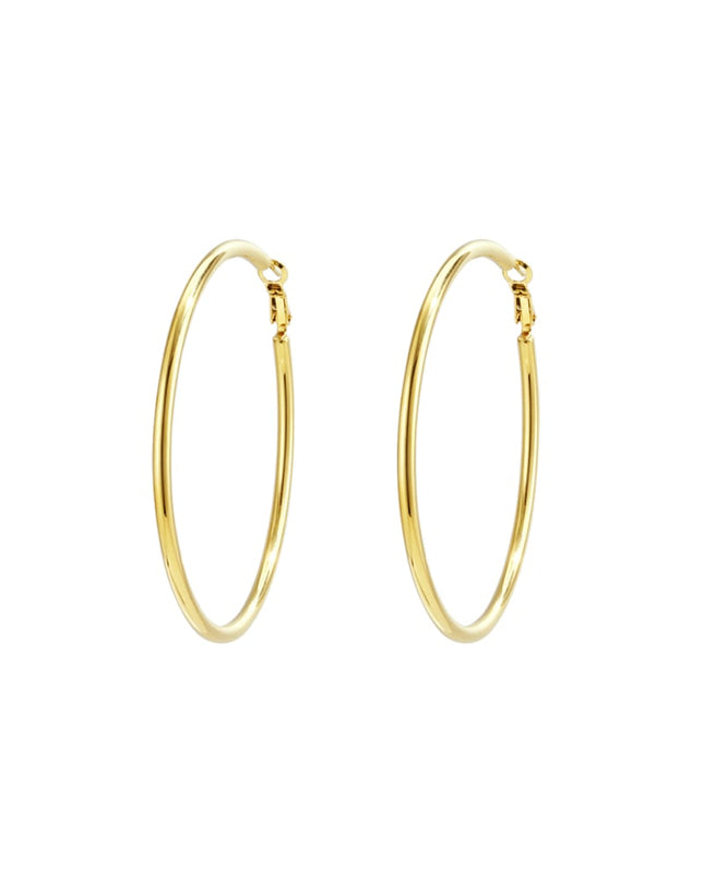 Stainless Steel Hoop Earrings Geometric Casual Daily Simple Series Women's jewelry
