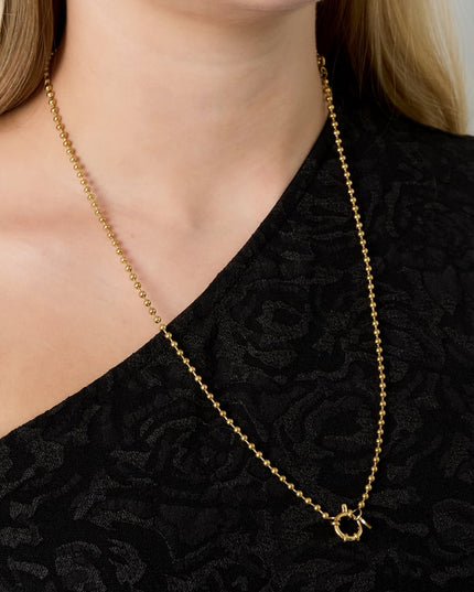 Roestvrijstalen kettingen Geometrisch Casual Dagelijks Eenvoudig Serie Dames sieraden